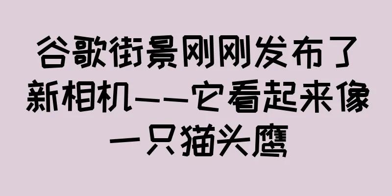 谷歌街景刚刚发布了新相机——它看起来像一只猫头鹰