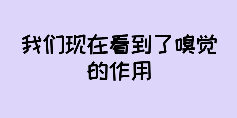 我们现在看到了嗅觉的作用