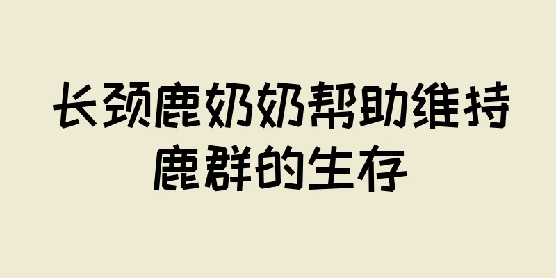 长颈鹿奶奶帮助维持鹿群的生存