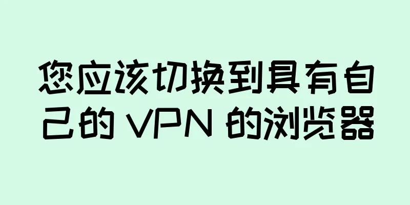 您应该切换到具有自己的 VPN 的浏览器