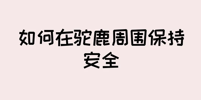 如何在驼鹿周围保持安全