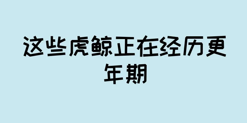 这些虎鲸正在经历更年期