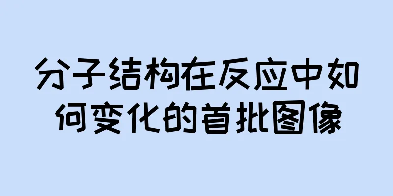 分子结构在反应中如何变化的首批图像