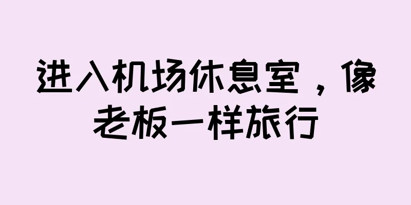 进入机场休息室，像老板一样旅行