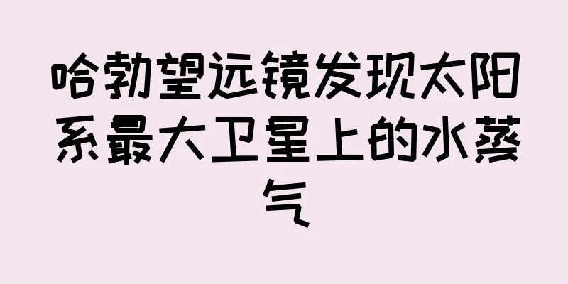哈勃望远镜发现太阳系最大卫星上的水蒸气