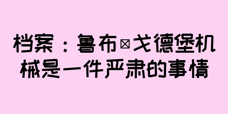 档案：鲁布·戈德堡机械是一件严肃的事情