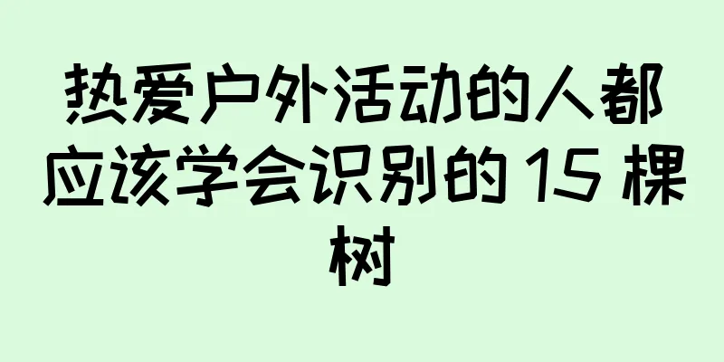 热爱户外活动的人都应该学会识别的 15 棵树