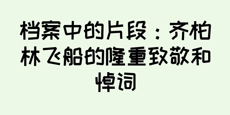档案中的片段：齐柏林飞船的隆重致敬和悼词