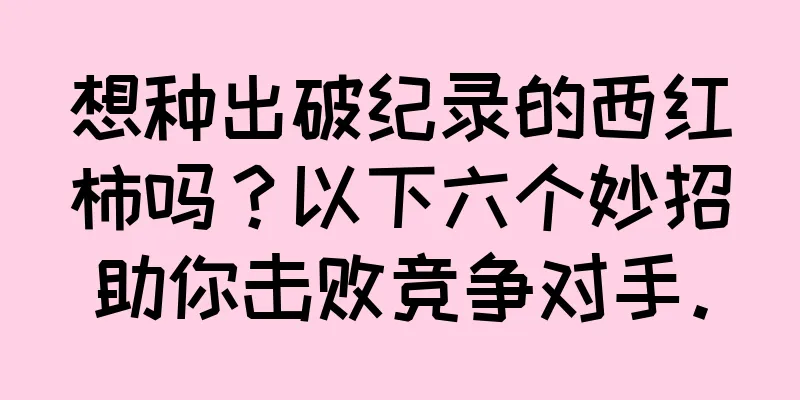 想种出破纪录的西红柿吗？以下六个妙招助你击败竞争对手。