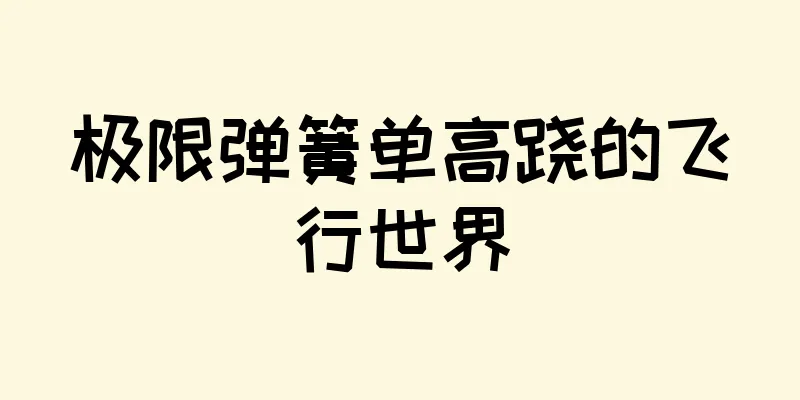 极限弹簧单高跷的飞行世界