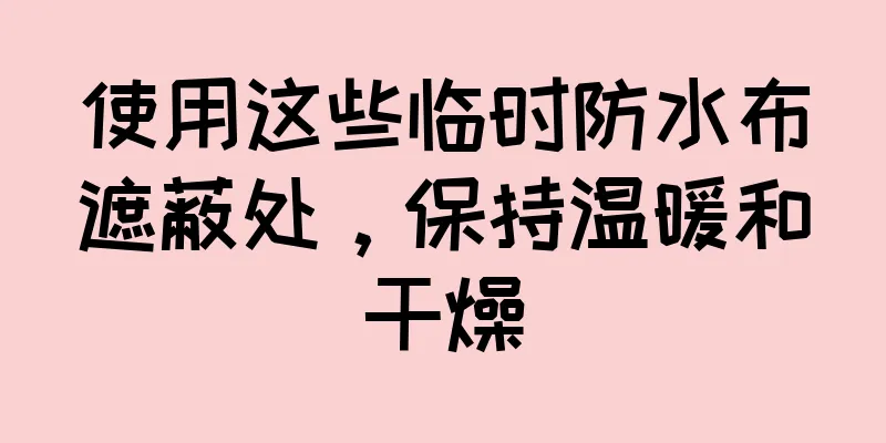使用这些临时防水布遮蔽处，保持温暖和干燥