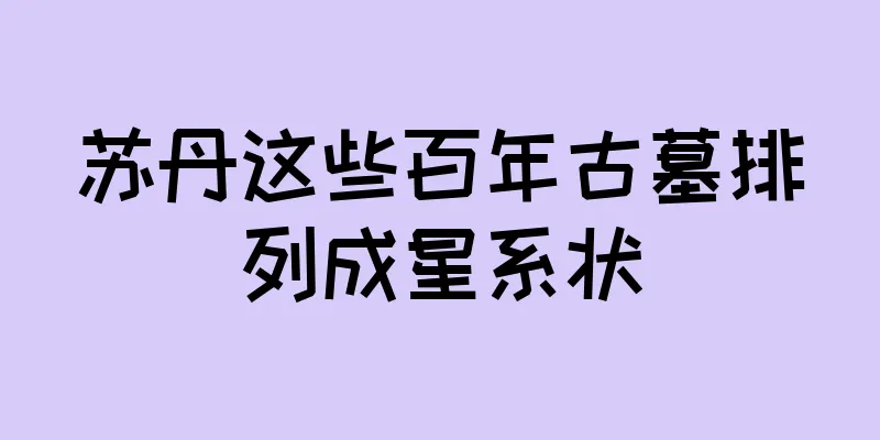 苏丹这些百年古墓排列成星系状