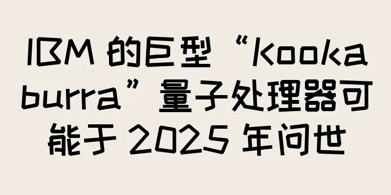 IBM 的巨型“Kookaburra”量子处理器可能于 2025 年问世