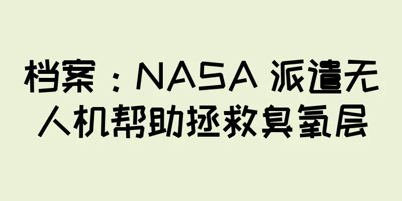 档案：NASA 派遣无人机帮助拯救臭氧层