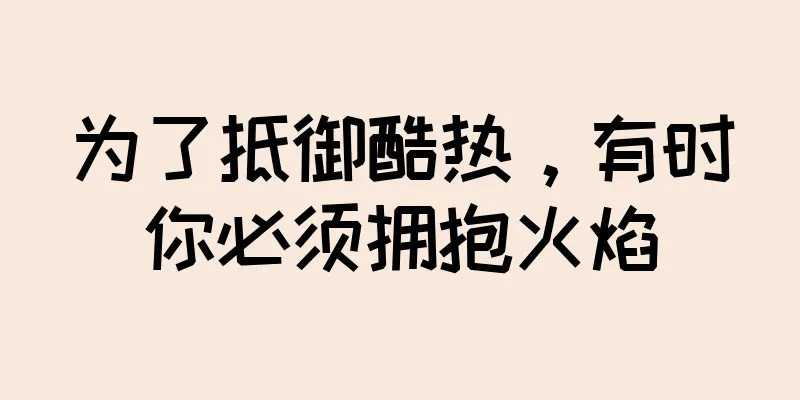 为了抵御酷热，有时你必须拥抱火焰