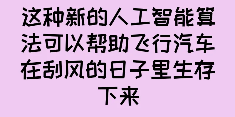 这种新的人工智能算法可以帮助飞行汽车在刮风的日子里生存下来