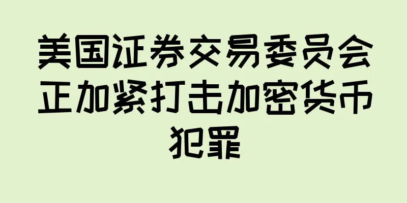 美国证券交易委员会正加紧打击加密货币犯罪