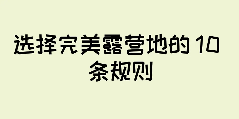 选择完美露营地的 10 条规则