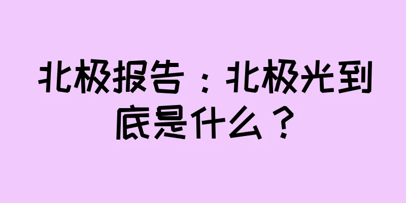 北极报告：北极光到底是什么？