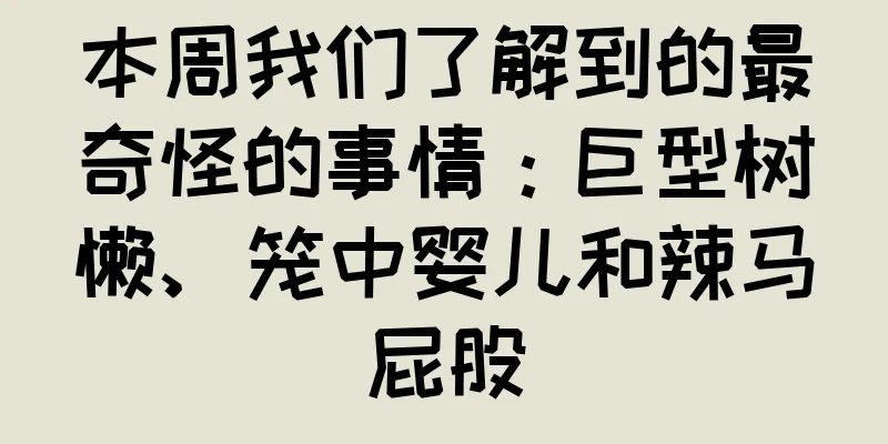 本周我们了解到的最奇怪的事情：巨型树懒、笼中婴儿和辣马屁股