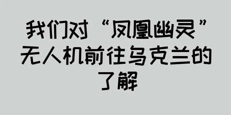 我们对“凤凰幽灵”无人机前往乌克兰的了解