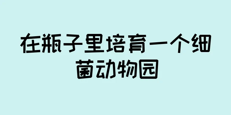 在瓶子里培育一个细菌动物园