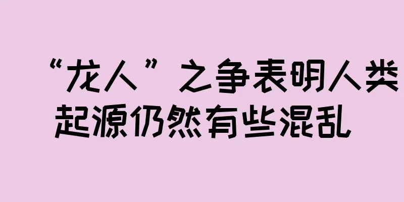 “龙人”之争表明人类起源仍然有些混乱