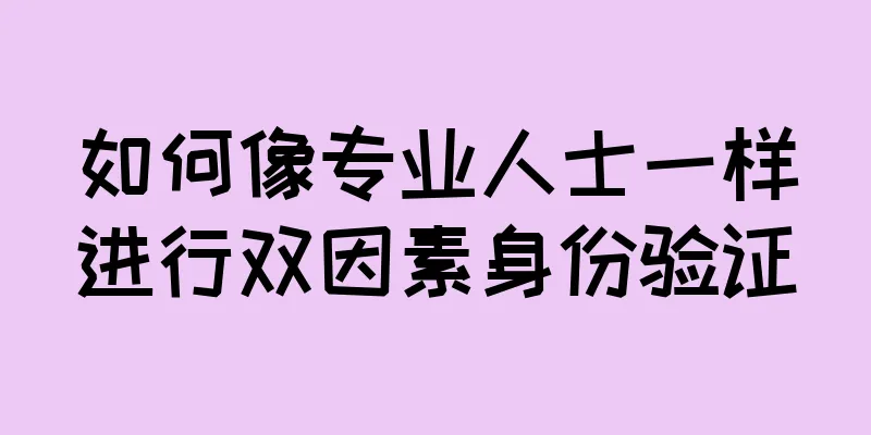 如何像专业人士一样进行双因素身份验证
