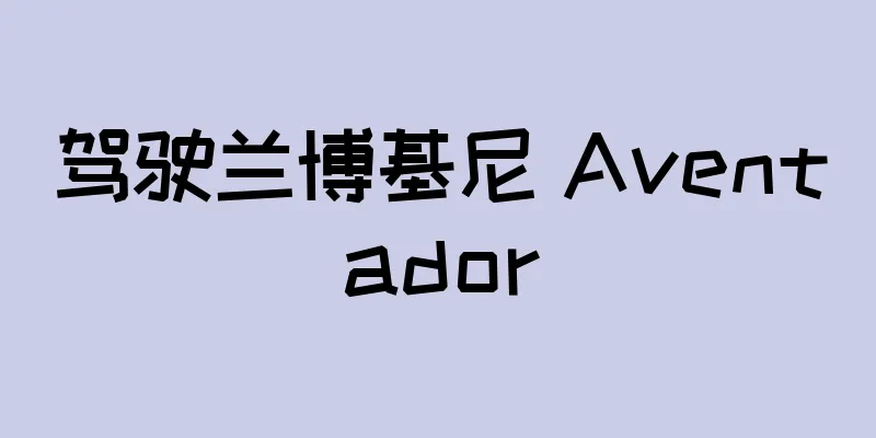 驾驶兰博基尼 Aventador