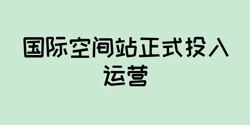 国际空间站正式投入运营