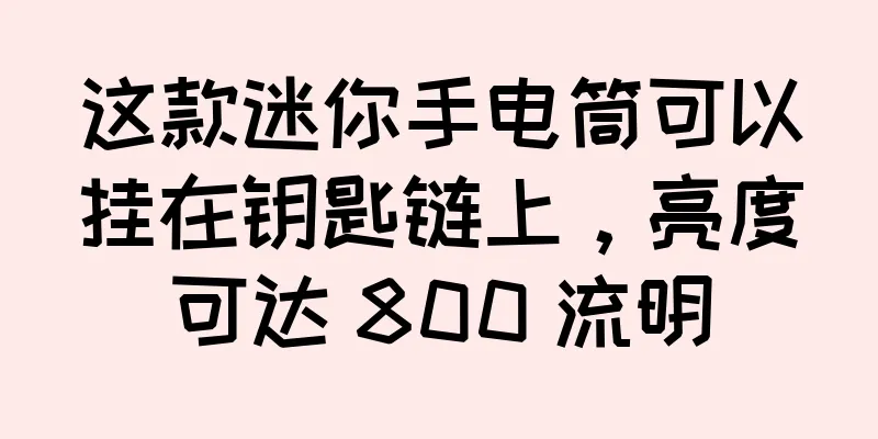这款迷你手电筒可以挂在钥匙链上，亮度可达 800 流明