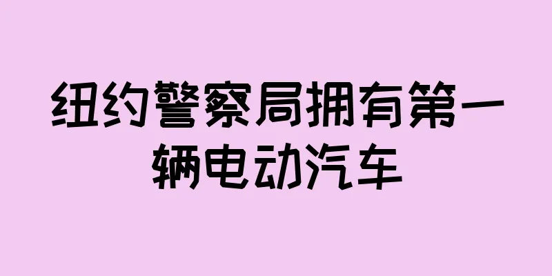 纽约警察局拥有第一辆电动汽车