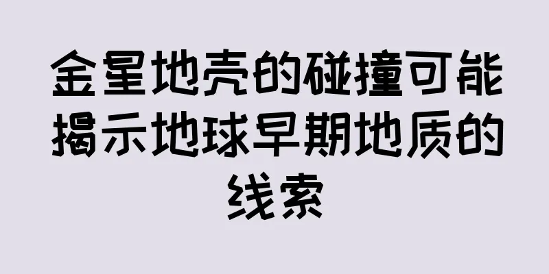 金星地壳的碰撞可能揭示地球早期地质的线索