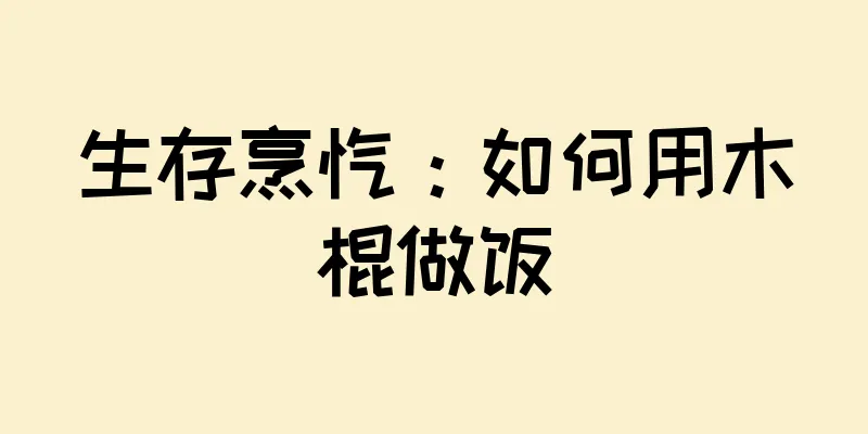 生存烹饪：如何用木棍做饭