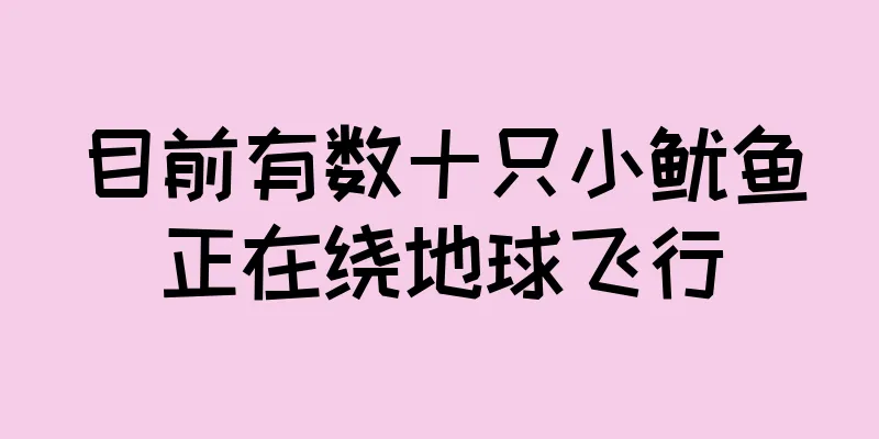 目前有数十只小鱿鱼正在绕地球飞行