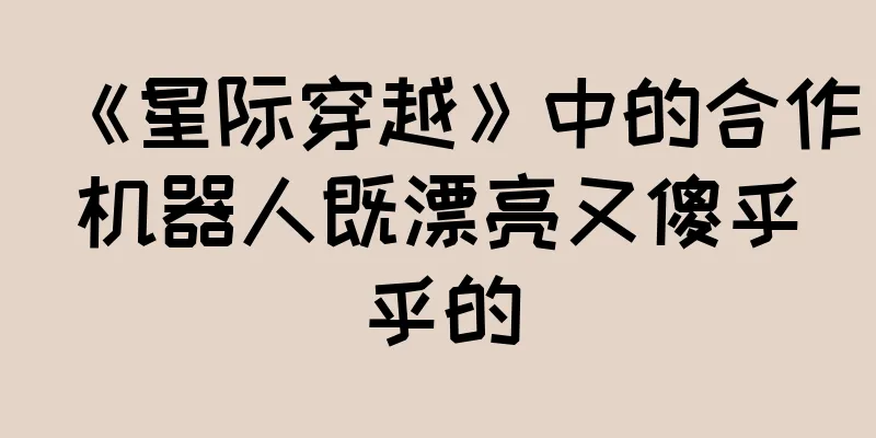 《星际穿越》中的合作机器人既漂亮又傻乎乎的