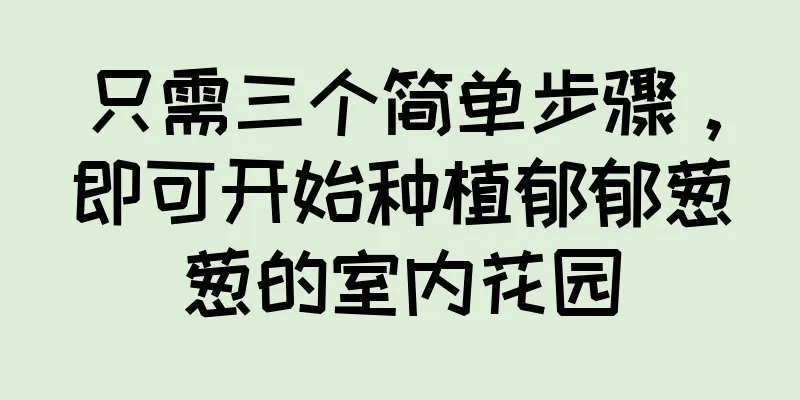只需三个简单步骤，即可开始种植郁郁葱葱的室内花园