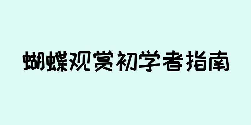 蝴蝶观赏初学者指南