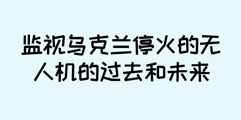 监视乌克兰停火的无人机的过去和未来