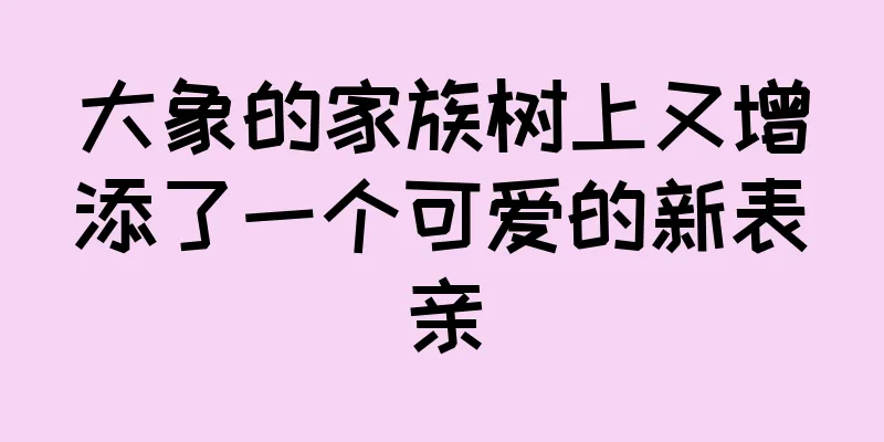 大象的家族树上又增添了一个可爱的新表亲