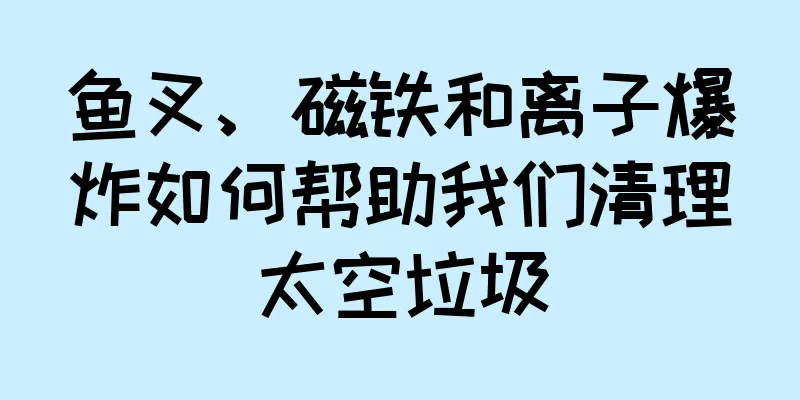鱼叉、磁铁和离子爆炸如何帮助我们清理太空垃圾