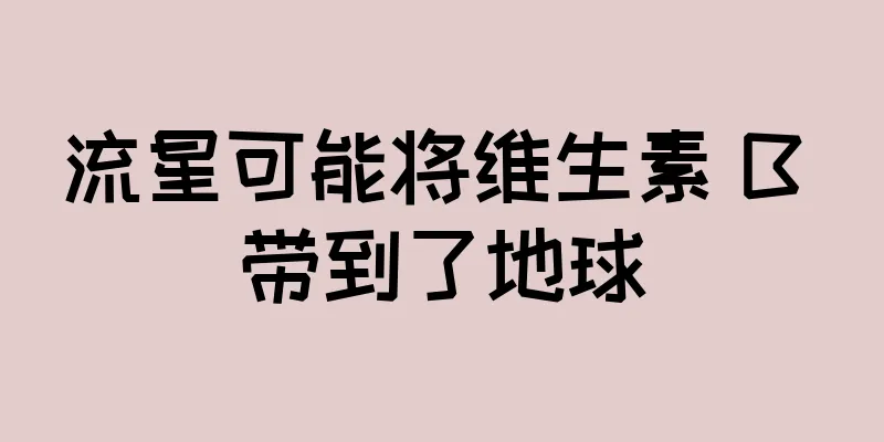 流星可能将维生素 B 带到了地球