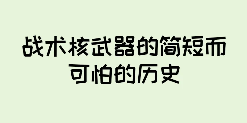 战术核武器的简短而可怕的历史