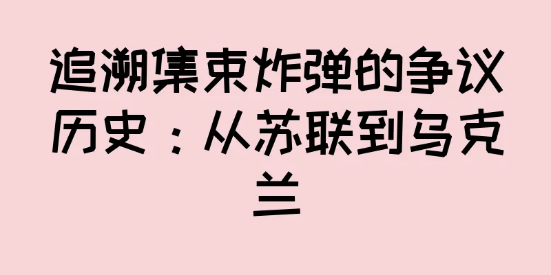 追溯集束炸弹的争议历史：从苏联到乌克兰