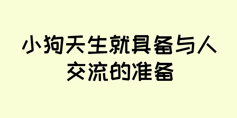 小狗天生就具备与人交流的准备