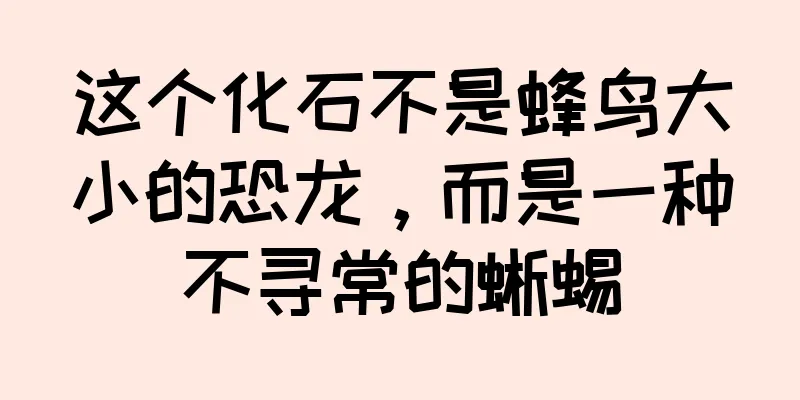 这个化石不是蜂鸟大小的恐龙，而是一种不寻常的蜥蜴