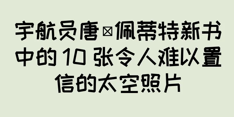宇航员唐·佩蒂特新书中的 10 张令人难以置信的太空照片
