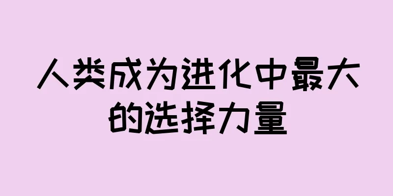 人类成为进化中最大的选择力量
