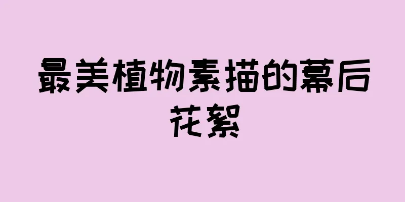 最美植物素描的幕后花絮