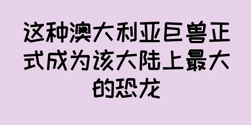 这种澳大利亚巨兽正式成为该大陆上最大的恐龙